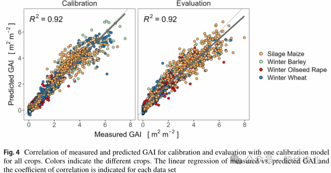 Drone-Based Canopy Monitoring: Cross-Crop Calibration of Multispectral Sensors for Green Leaf Area Index and Nitrogen Uptake Estimation