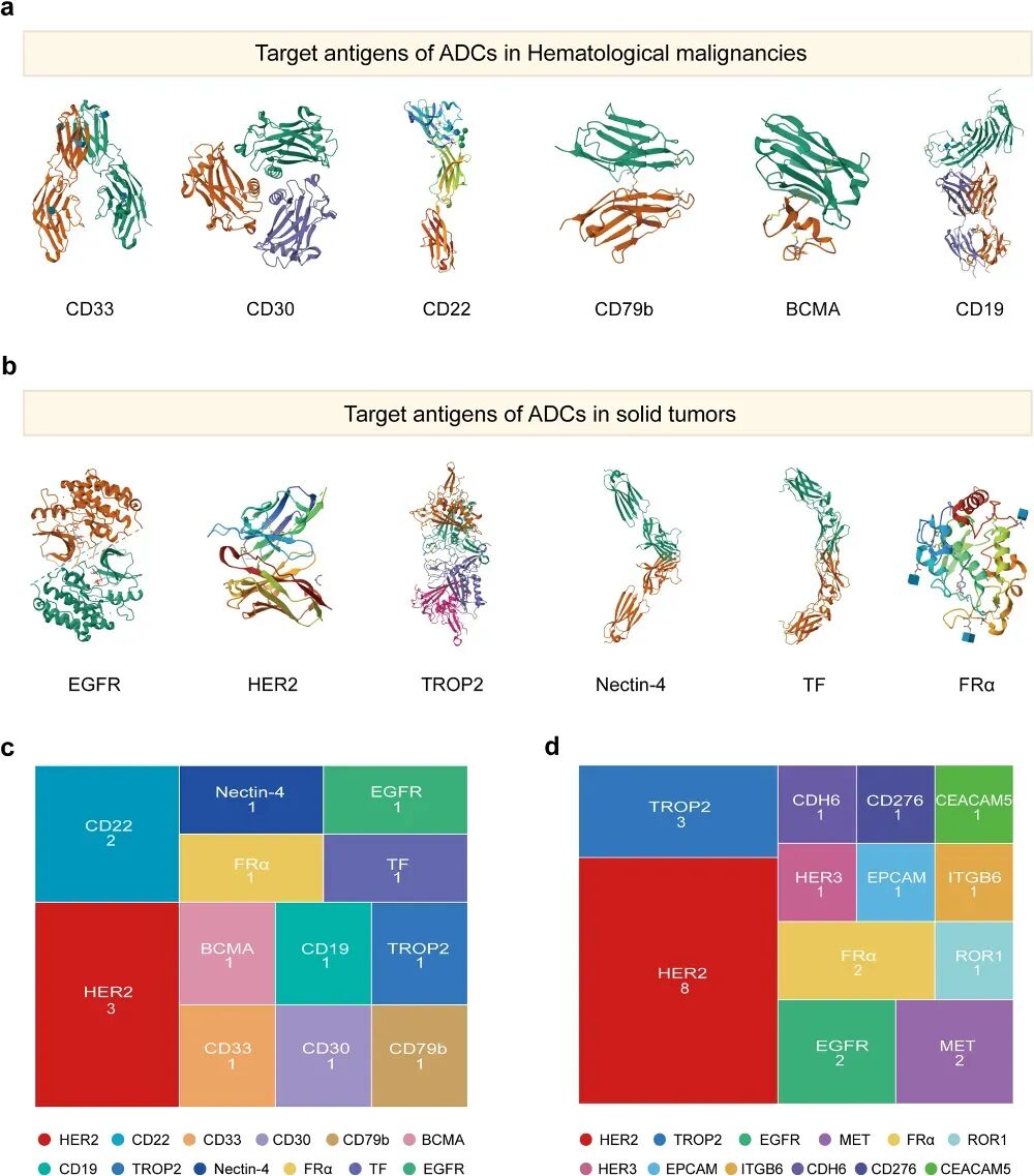 ADC: Where It Comes From and Where It Is Going?
