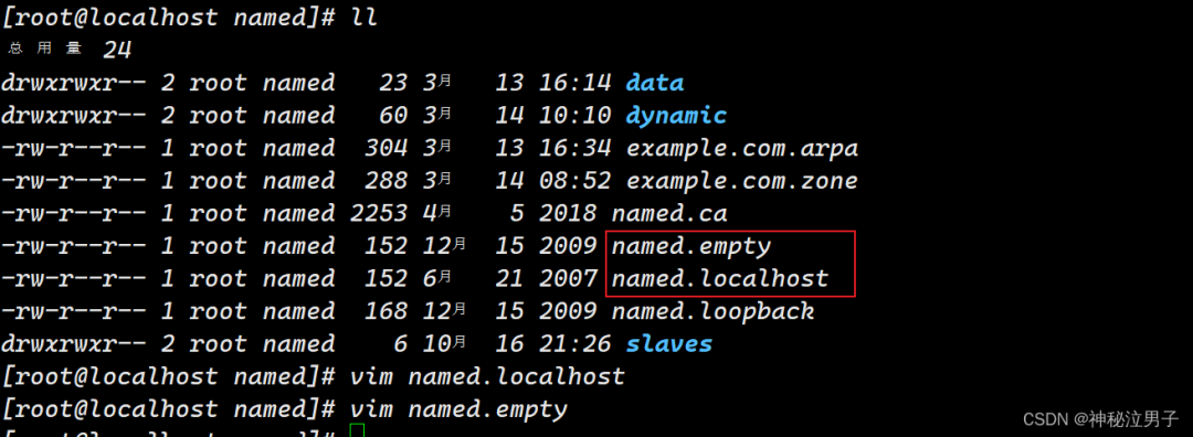 Setting Up a DNS Domain Name Resolution Server on Linux (Detailed Version)