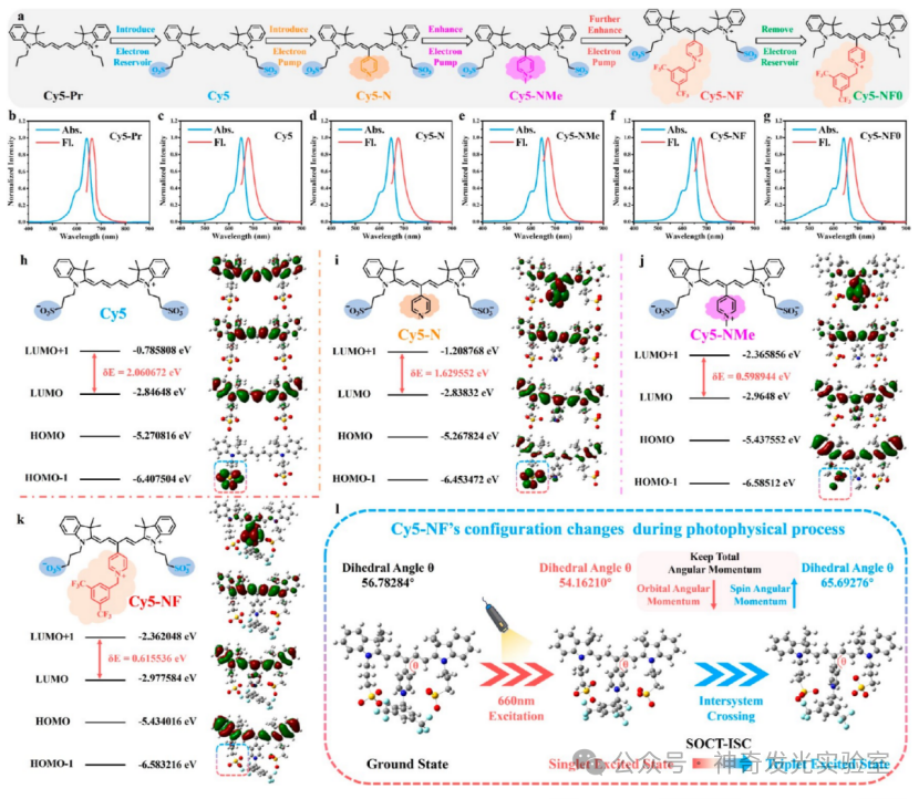 Controlled Electron Transfer: Implementing a Reservoir-Pump Integrated Strategy to Develop a Type I Photosensitizer for Evoking Long-Term Tumor Immunological Memory