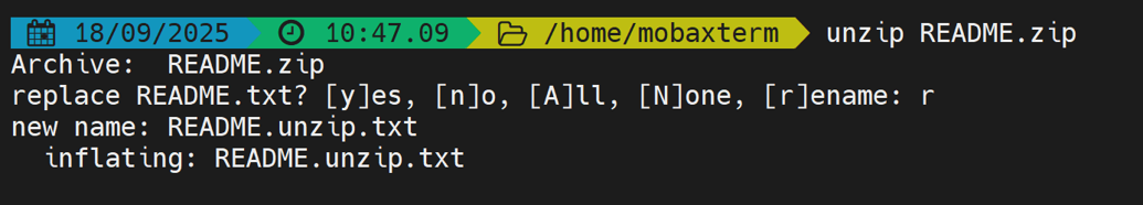 Essential Linux Commands for Bioinformatics Analysis: zip, gzip, bzip2, tar