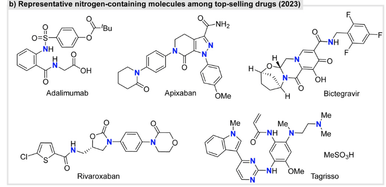 Review by Professor Hongjian Lu's Team at Nanjing University | Recent Advances in Skeleton Editing Based on Nitrogen Atom Manipulation