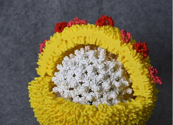 3D Printing of Viruses