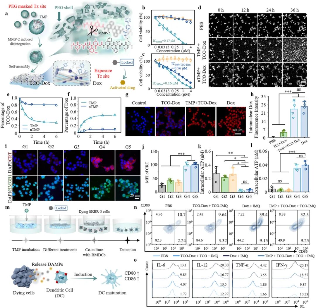 Self-Assembly of Artificial Topological Nanostructures for Enhanced Bioorthogonal Activation and Drug Penetration in Cancer Immunotherapy