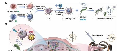Microbots Strike! Yu Yingfeng/Peng Fei/Shen Lihan Nature Subjournal: Magnetically Controlled "Bacterial Team" for Precise Treatment of Pneumonia