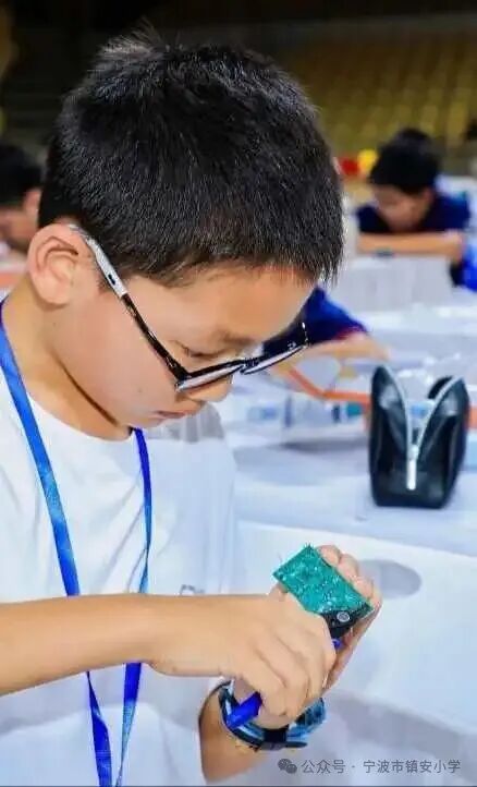 The Shining Stars on the Circuit Board