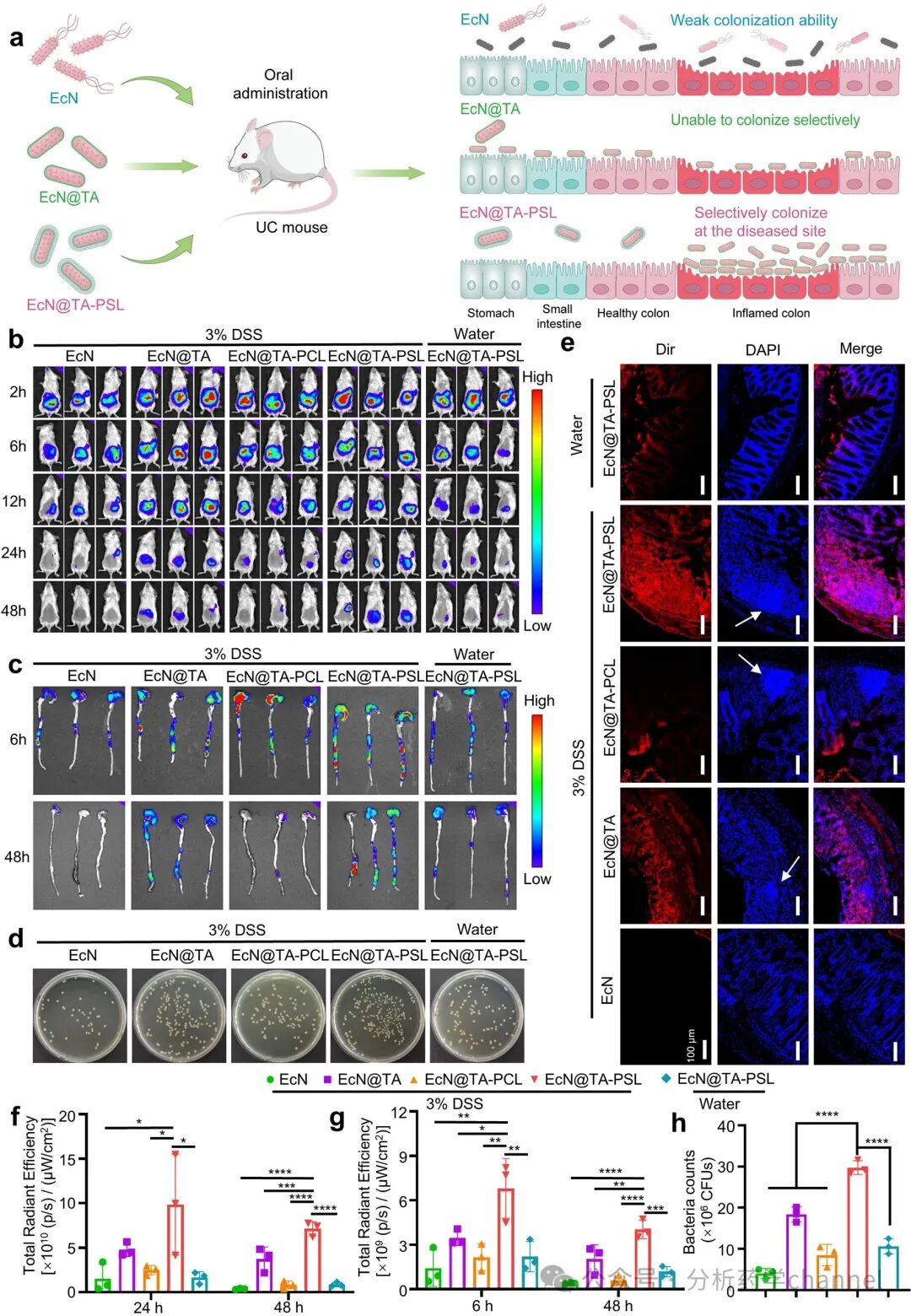 Literature Sharing | J AM CHEM SOC | Probiotic-Drug Conjugates Achieve Site-Specific Probiotic Colonization and On-Demand Drug Release to Combat Ulcerative Colitis and Its Complications