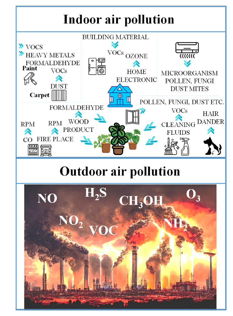 Integrated Photonic Sensors: A Cutting-Edge Review and Future Trends in Toxic Gas Detection