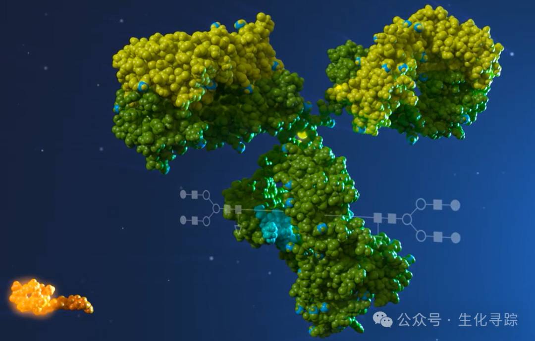Development of Antibody-Drug Conjugates (ADCs): Payloads, Linkers, Antibodies, and Artificial Intelligence