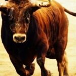 Finding 'Haitian Flavor Industry' in the Semiconductor Bull Market: Stay Calm Amidst China's Unique Characteristics in A-shares!