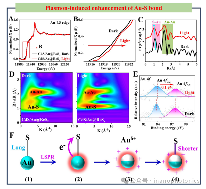 Plasmon-Induced Ultrafast Interfacial Charge Transfer for Enhanced Photocatalytic Hydrogen Evolution