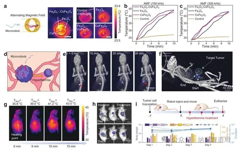 3D Printed Microrobots: Navigating, Temperature Sensing, and Treating Diseases Inside the Body, Advancing Precision Medicine