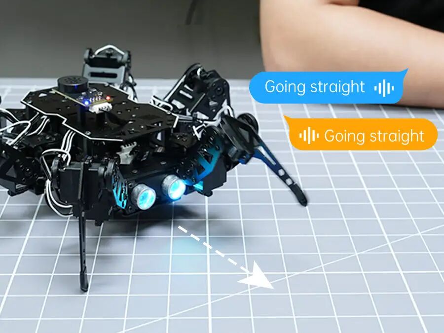 Open Source! Mini Hexapod AI Robot with AI Vision and Voice Interaction, Supports Arduino Programming and Sensor Expansion