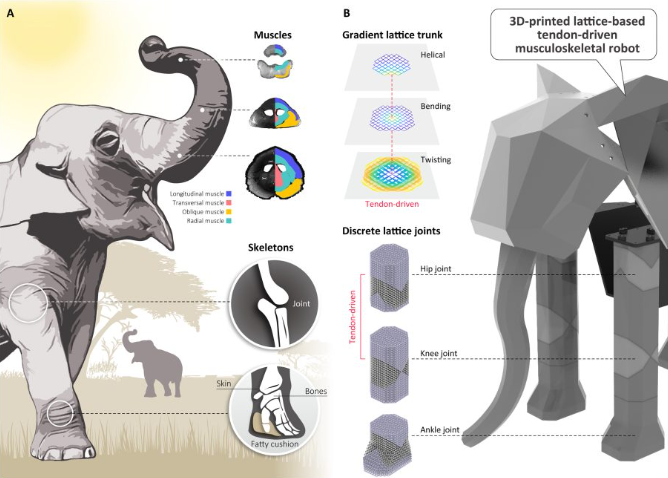 3D Printing Creations from Others (Issue 92)
