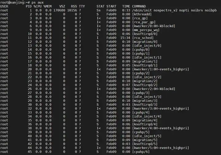 Fundamentals of the Linux Operating System: In-Depth Analysis of Common Process Commands