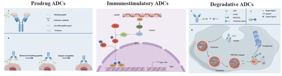 Biomarkers for ADCs: IHC and Beyond
