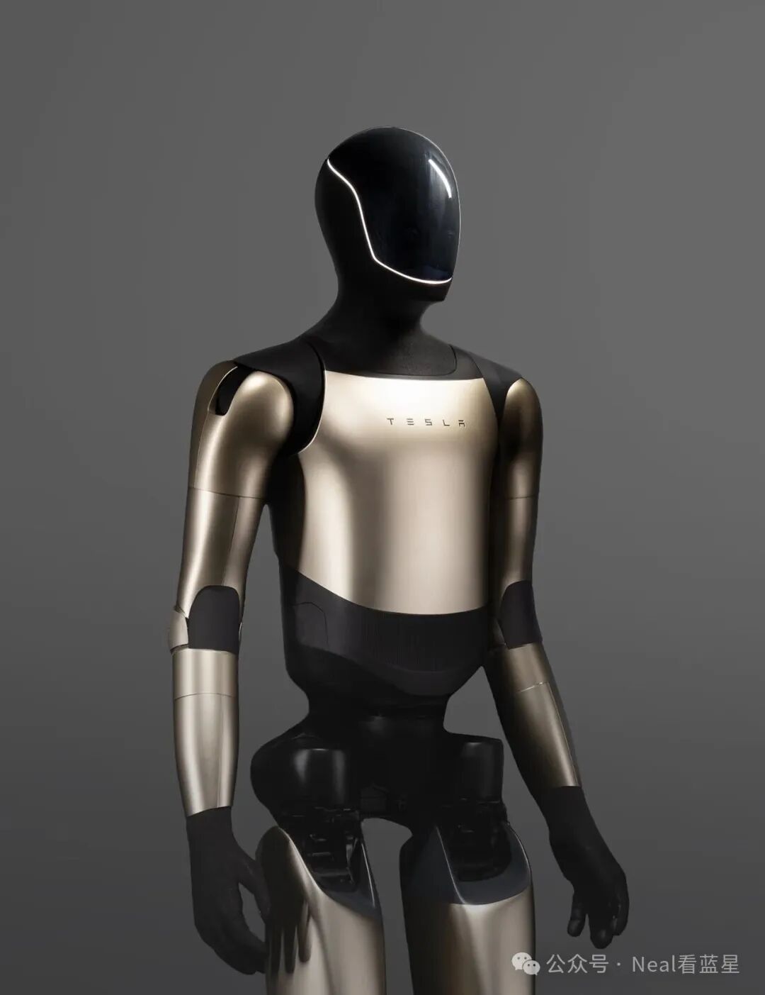 Elon Musk: The AI5 Chip Will Reshape the Era of Edge AI; Its Relevance to the Latest Trillion-Dollar Compensation Bet!
