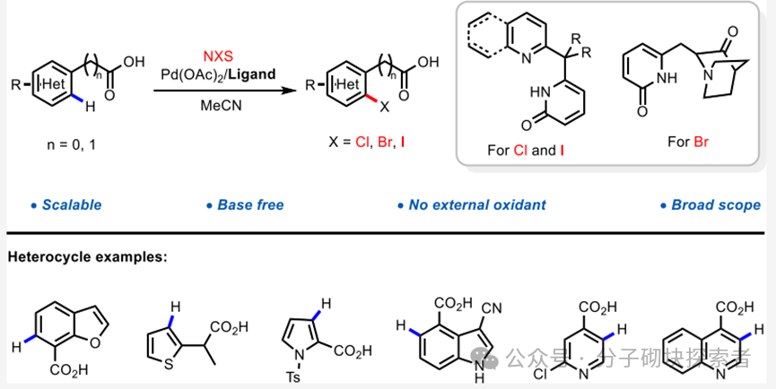 New Horizons in C–H Bond Halogenation Technology: A Practical Ligand Facilitating Efficient Halogenation of Aromatic Rings