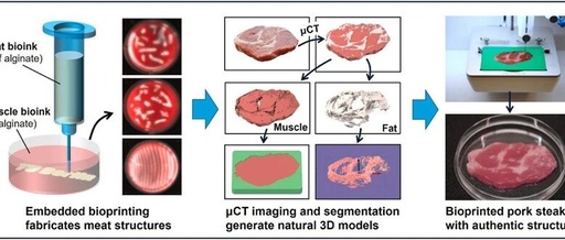 Embedded Bioprinting Enables Precise Fabrication of Cultured Meat with Authentic Structural Properties