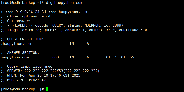 Installation and Usage of dig and nslookup Tools in Linux Systems