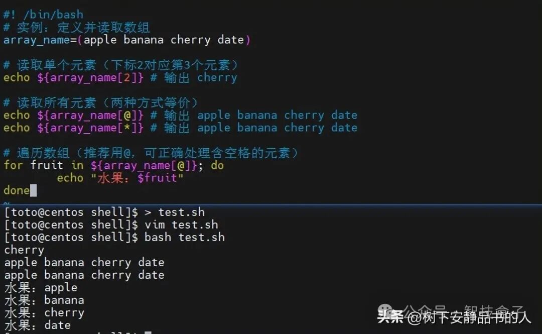 Unlocking Linux: Shell Programming Variables