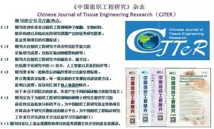 Application of 3D Printed Personalized Osteotomy Guides Combined with Custom Plates in Open Wedge High Tibial Osteotomy