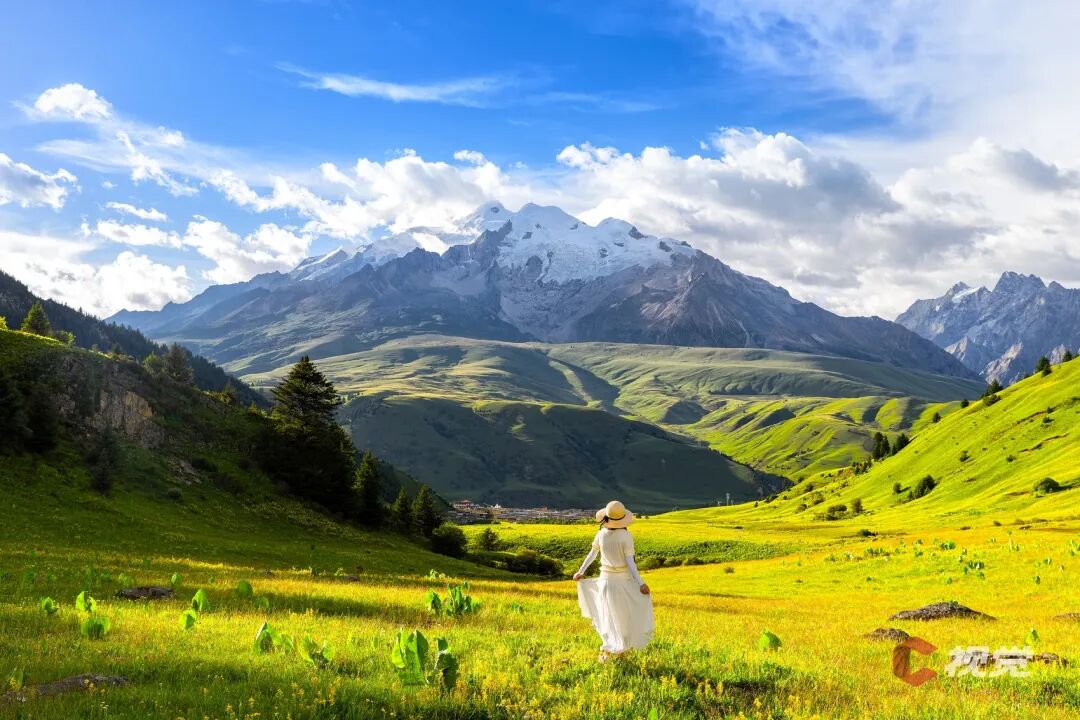 C Vision: A Glimpse of the Snow Mountain (50) | The Intertwining of Snow Mountain and Prairie Flower Sea - The Travel Guide to 'Little Switzerland' in Western Sichuan