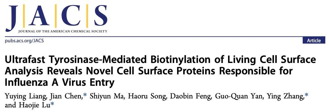 Ultrafast Tyrosinase-Mediated Biotinylation of Living Cell Surface Analysis Reveals Novel Cell Surface Proteins Responsible for Influenza A Virus Entry