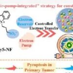 Controlled Electron Transfer: Implementing a Reservoir-Pump Integrated Strategy to Develop a Type I Photosensitizer for Evoking Long-Term Tumor Immunological Memory