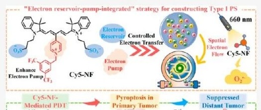 Controlled Electron Transfer: Implementing a Reservoir-Pump Integrated Strategy to Develop a Type I Photosensitizer for Evoking Long-Term Tumor Immunological Memory