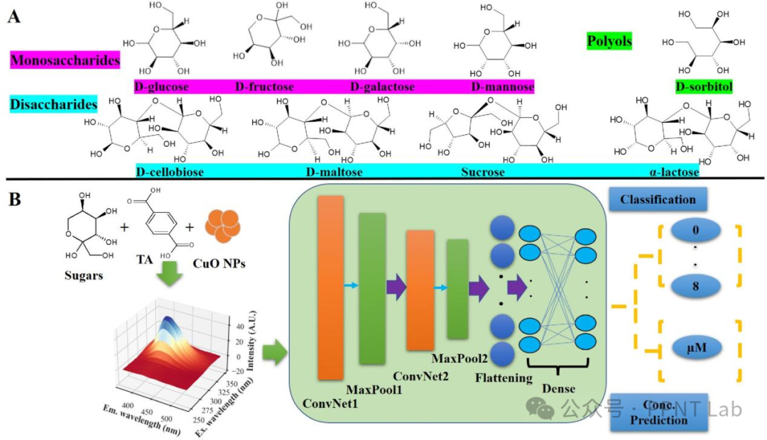 3D Fluorescent Sensor Driven by Deep Learning: Rapid Recognition of Serum Carbohydrates Using CuO Nanomaterials