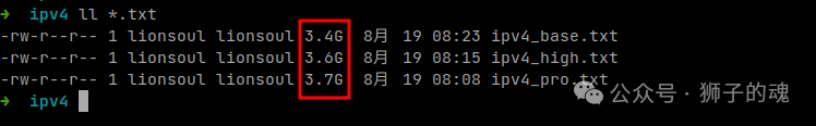 Linux Kernel Knowledge Triggered by Java int Type Overflow - Fixing the ip2region Bug
