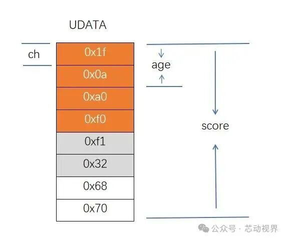A Comprehensive Guide to C Language Unions: Memory Reuse, Bit Manipulation, and Type Punning!