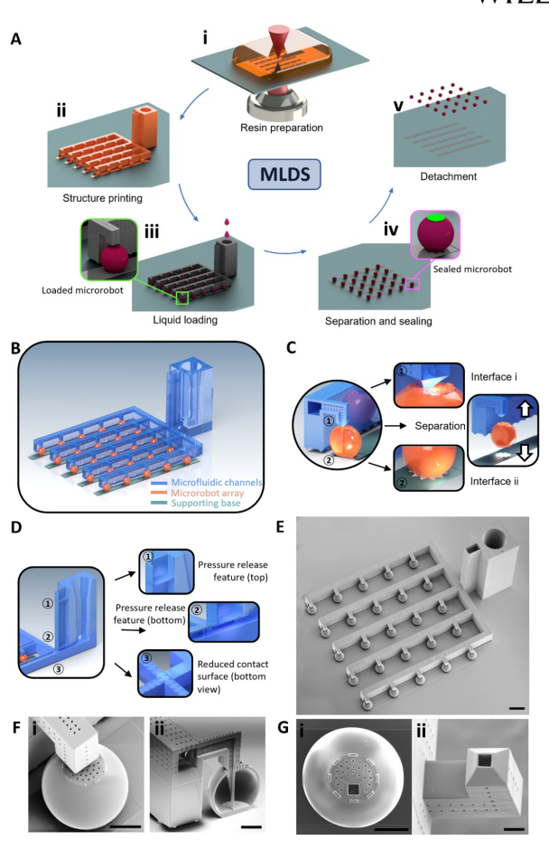 Application Research of Microfluidic Loading and Immersion Sealing Technology in Microrobots for Drug Delivery
