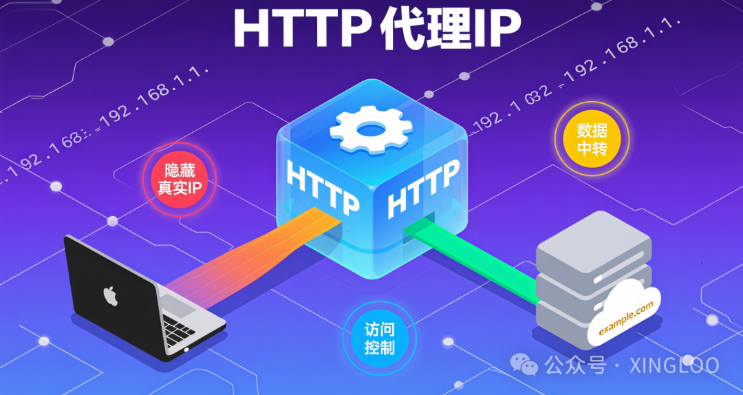 A Comprehensive Guide to Using HTTP Proxy IPs