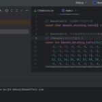 Enterprise-Level Development | Implementing Base64 Encoding and Decoding in C Language | Complete Source Code Included