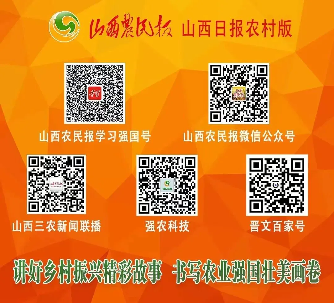 Cultural Fusion: Yicheng Flower Drum Dance with AI Robots