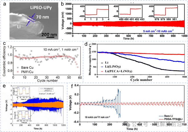 High Energy Density Lithium Batteries: Insights from Professor Li Zhongtao of China Petroleum University (East China)
