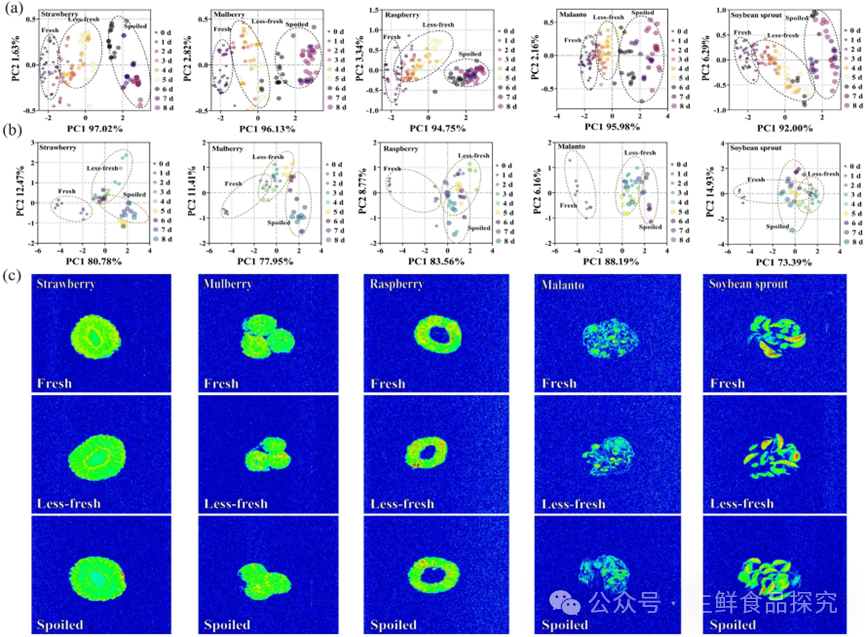 Real-time Freshness Monitoring of Fruits and Vegetables Using 3D-Printed Alginate-Based Colorimetric Sensors and Deep Convolutional Neural Networks