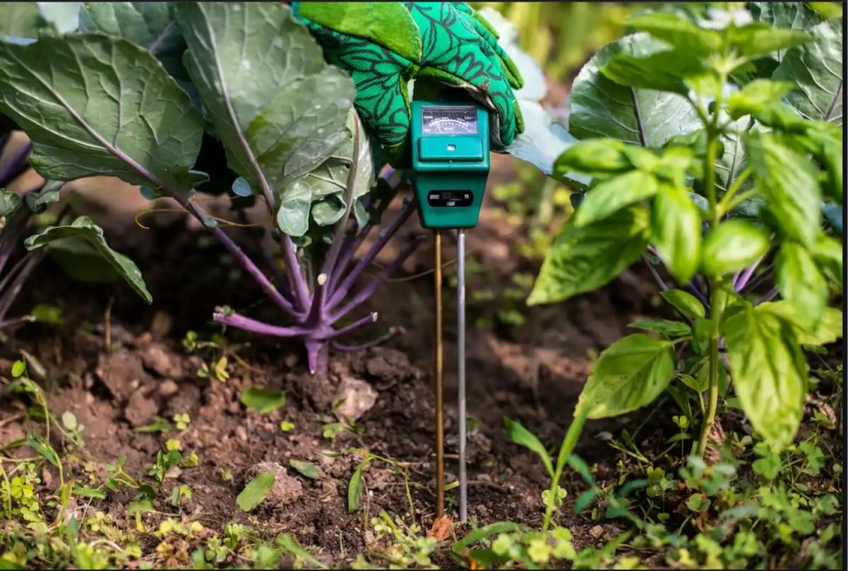 Portable Biosensors: A New Engine for Technological Innovation and Integration with Agriculture