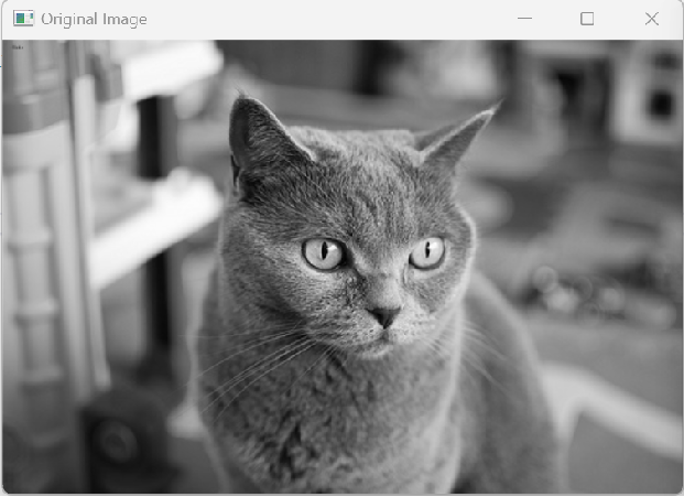 C++ Image Processing (Part 3): Image Smoothing