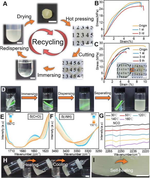 Recyclable Inorganic Subnanowire Plastics