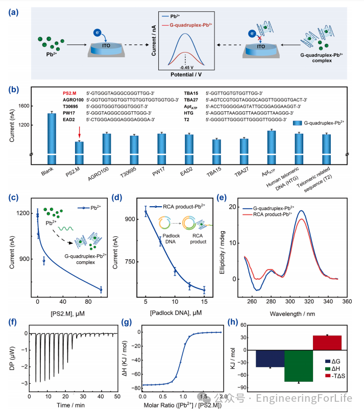 Exosome Aptamer Sensors for Staging Breast Cancer