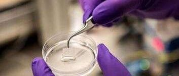Breakthrough: Tsinghua University's Xu Tao Team First Utilizes Microrobots and In Vivo Bioprinting to Treat Gastric Injuries