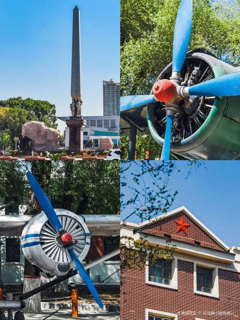 City C Breaks Out! From Desert to Garden City, Xinjiang Has Transformed!