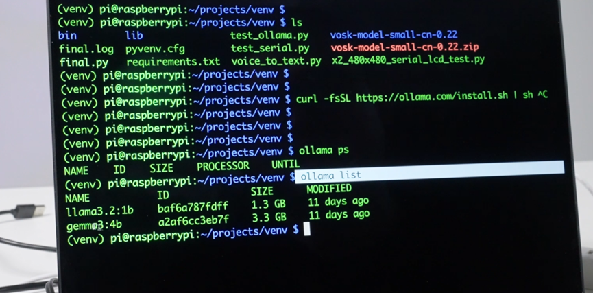 How to Implement Large Model Projects on Raspberry Pi 5 in 5 Steps!