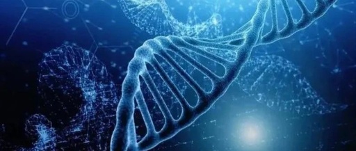 The Evolution of Antibody-Drug Conjugates (ADCs)