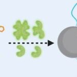Breaking Through Device Bottlenecks: Avidity-Driven Targeted Fragment Drug Screening
