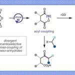J. Am. Chem. Soc.: Nickel-Catalyzed Enantioselective Desymmetrization: Development of Divergent Acyl and Decarbonylative Cross-Coupling Reactions
