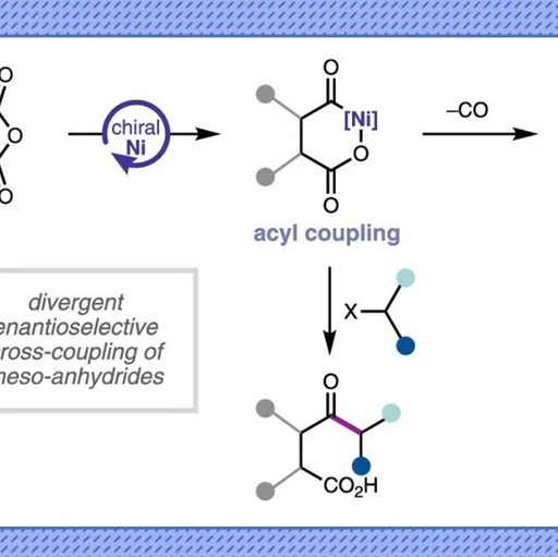 J. Am. Chem. Soc.: Nickel-Catalyzed Enantioselective Desymmetrization: Development of Divergent Acyl and Decarbonylative Cross-Coupling Reactions